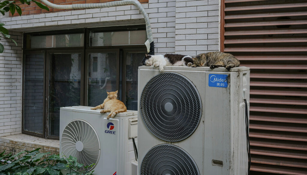 Remplacement de pompe à chaleur : les aides de l'État à connaître