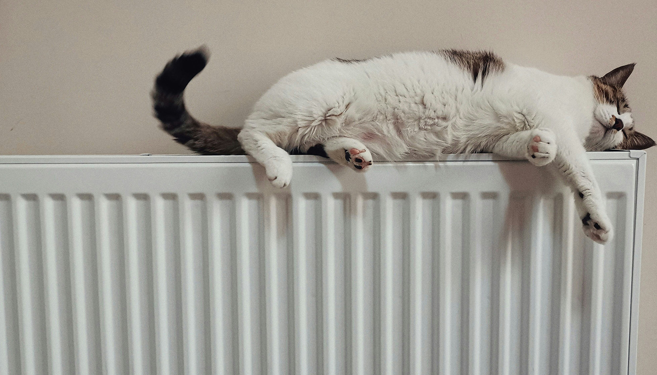 découvrez le coût réel pour faire déplacer un radiateur. estimez le prix des travaux et obtenez des conseils pour bien gérer votre budget chauffage.