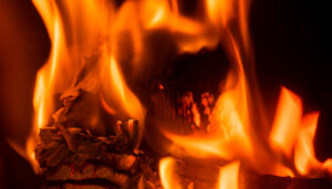 découvrez si le bois de laurier est adapté pour le chauffage : avantages, inconvénients et conseils pour bien l'utiliser comme combustible.