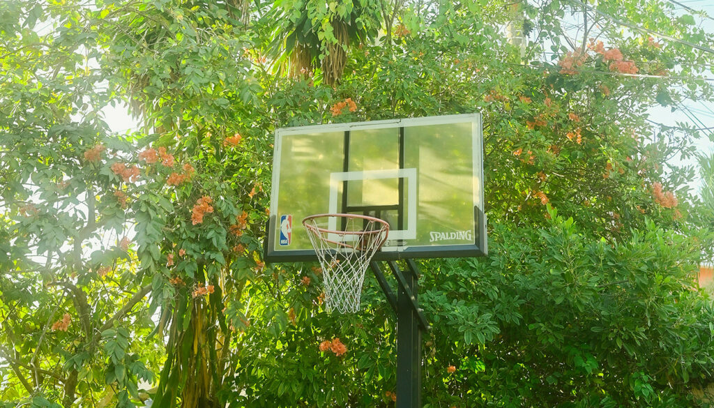 découvrez comment créer un terrain de basket dans votre jardin : guide complet sur les dimensions, les matériaux adaptés et les étapes clés pour réussir votre projet.