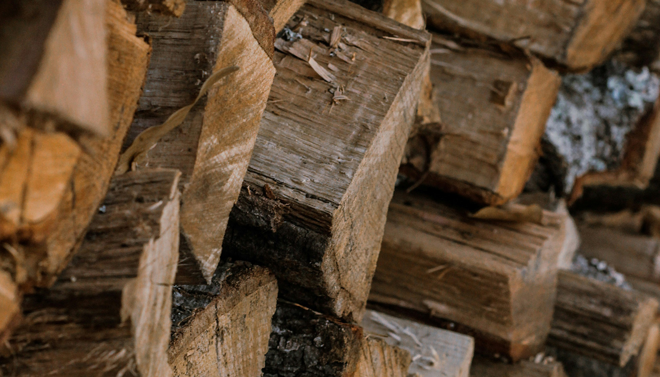 découvrez les risques réels de la mérule sur le bois de chauffage et les précautions essentielles à adopter pour protéger votre maison et votre santé.