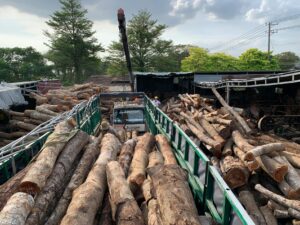 Prix d’un semi-remorque de bois — camion de bois de chauffage