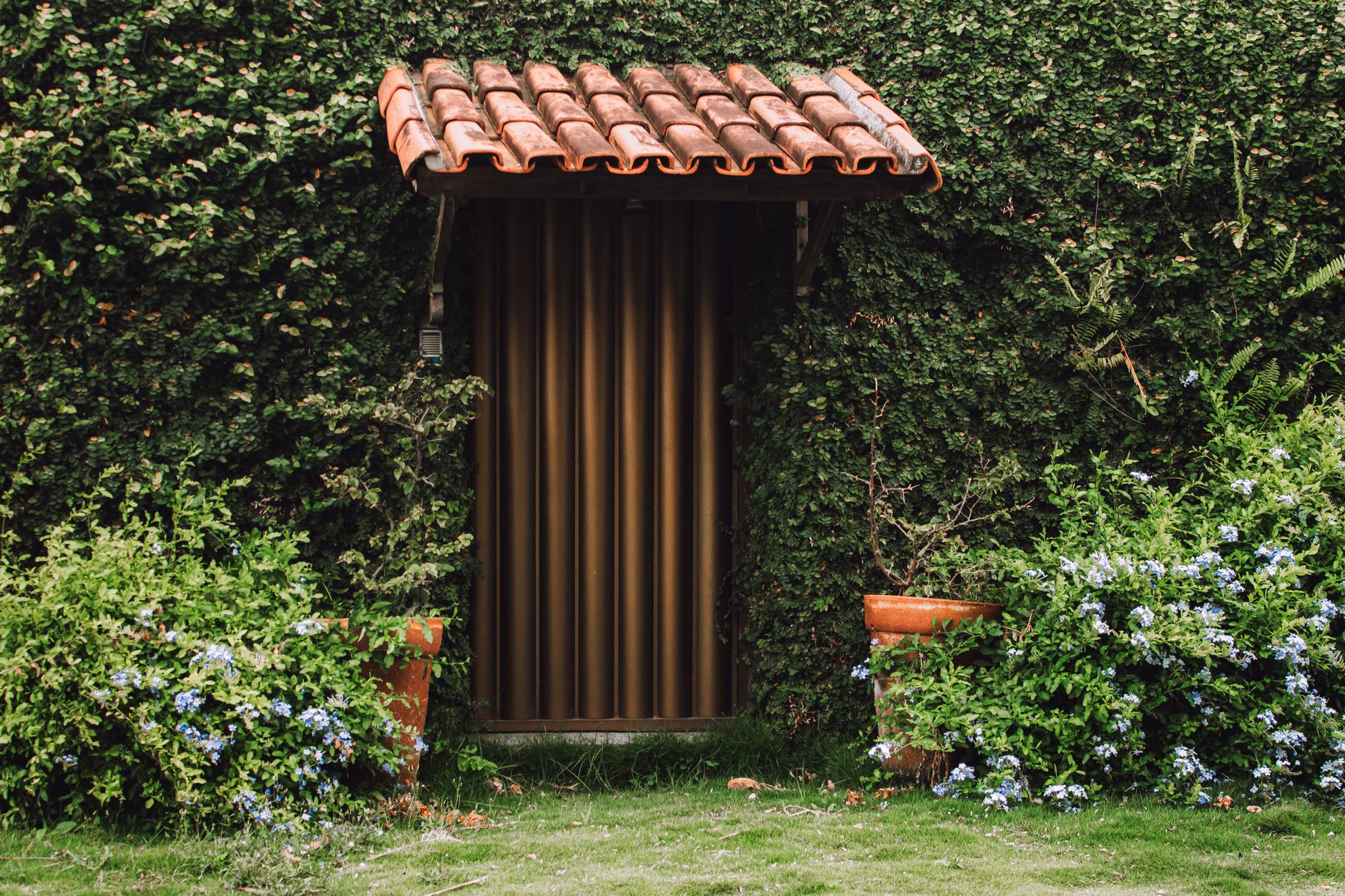 Cacher une pompe à chaleur avec les plantes : haies, murs végétalisés et intégration naturelle — pompe à chaleur cachée dans les plantes
