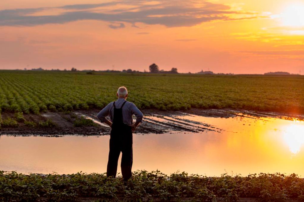 agriculteur eau de pluie